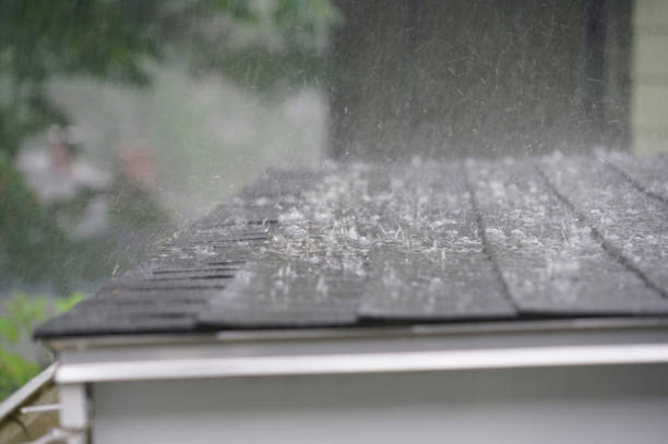 Best Roof Maintenance and Cleaning  in Mbria, CA