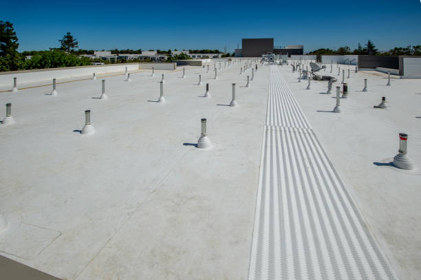 Best Roof Replacement  in Mbria, CA